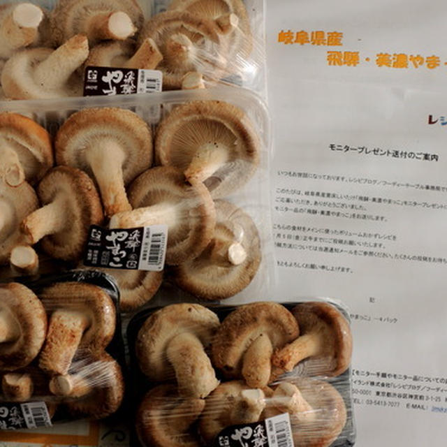 「飛騨・美濃やまっこ」が届きました～♪