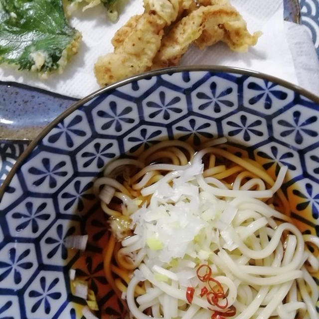 冷やし鶏天うどん！