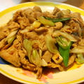 長ネギ豚肉炒め