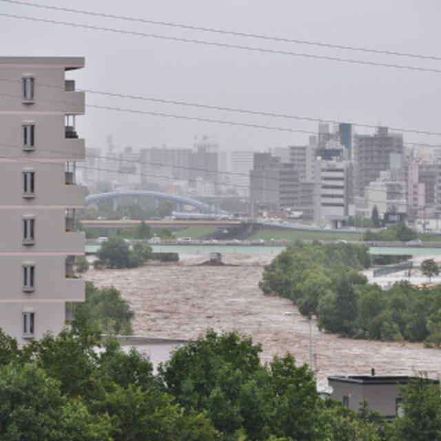 雨が続いてどこへも行けず…アンチョビの仕込み