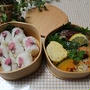春のお弁当