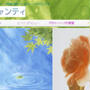 12/8に出展頂く『★Healing salon★シャンティ』さん♪