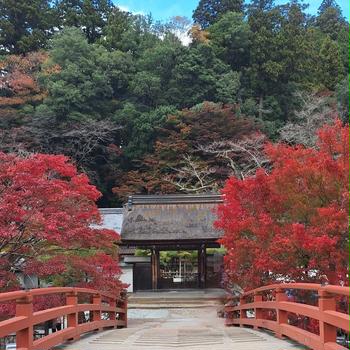 紅葉の季節に