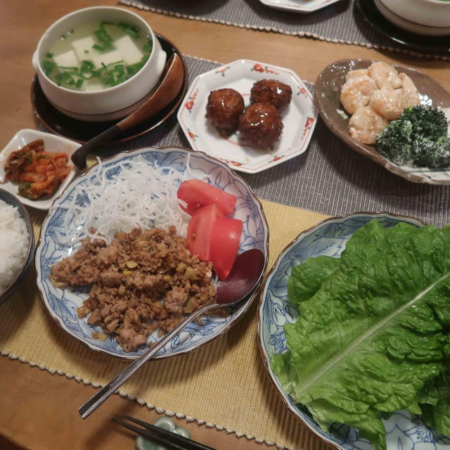ひき肉とタケノコのサンチュ（レタス）包みの晩ご飯　と　”ヘルマンリクガメ”の『ケメコ』♪