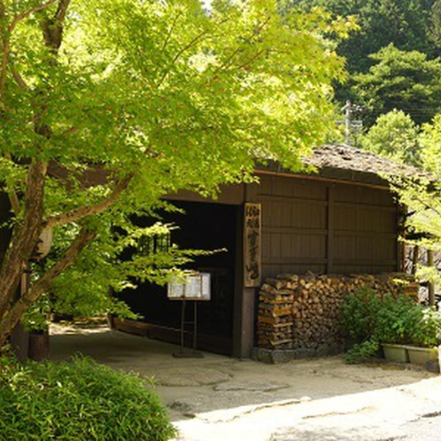 ワンデートリップ　板取川　すぎ嶋へ