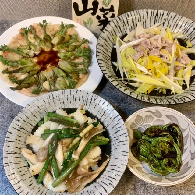 【山形野菜】収穫まで8年もかかる山菜って⁉