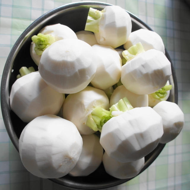 近況報告～野菜を刻みまくる～