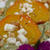 American Food Recipe(6)Roasted Beets Salad