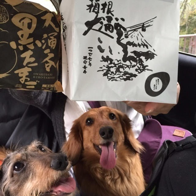 大涌谷の黒たまご買えたょ！ 【箱根プチ旅】