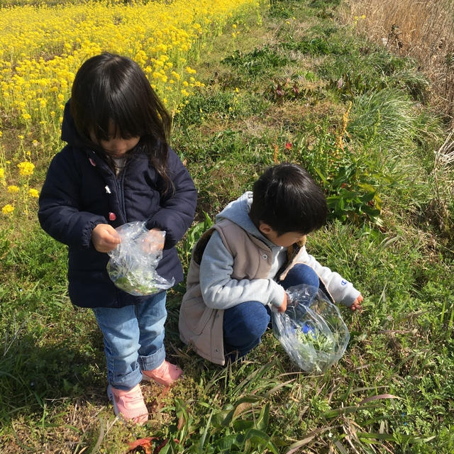 【よもぎ】春の香り＊こどもと一緒によもぎ白玉