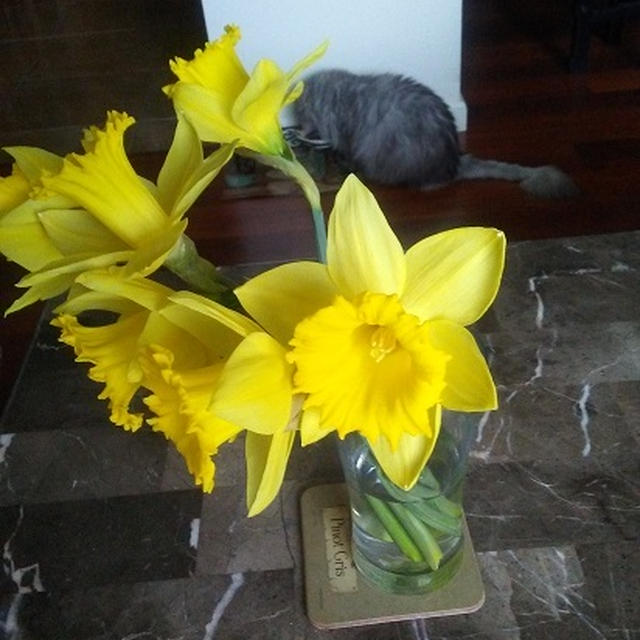 小豆ん子さんレシピで、レモンカードと春の花。。。♡(=^・・^=)♪