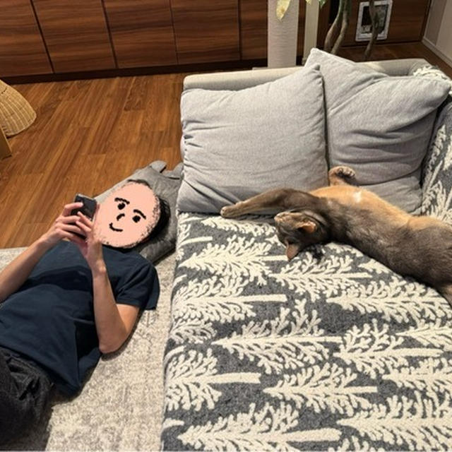 猫はソファーで飼い主は床
