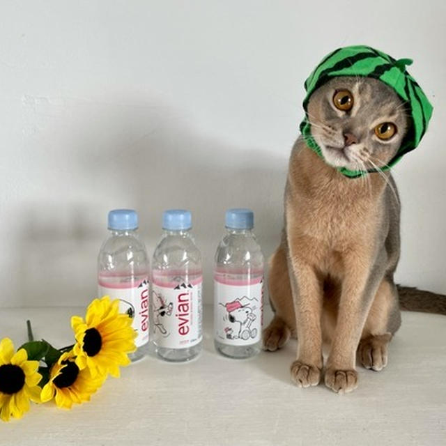 「エビアン×スヌーピー」コラボ＆「すいかわか坊」がかわいすぎる(*´ω`*)