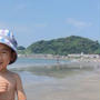 ２０年ぶりの海