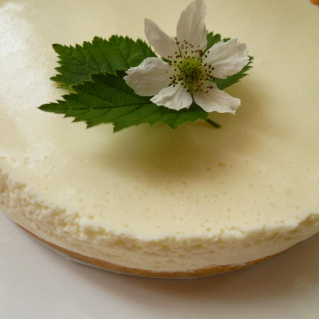 レアチーズケーキを作ったよ♪