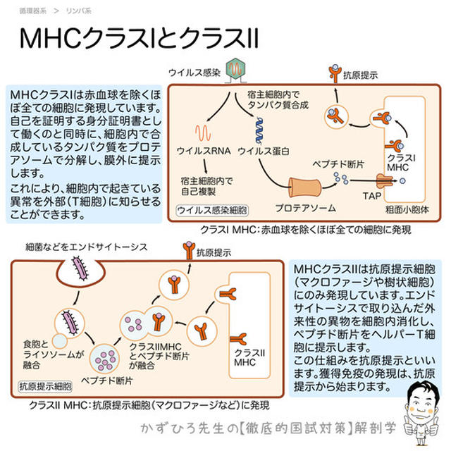 コロナワクチンの接種券が届いたんですけど・・・#4