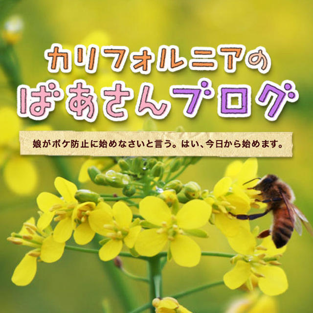 帰国が怖くなりました