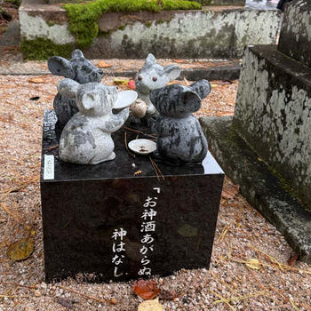 出雲の神社で〈個別に〉占ってもらった、2025年の運勢