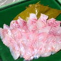 メバル(白身魚)の桜締め。超簡単なのに料亭のような上品な味のおつまみ。