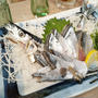 GOTOEAT☆磯丸水産でまぐろ&いか焼き&ぼたん海老&秋刀魚！