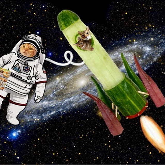 精霊ロケットで、たまひなちびが帰ってきた♪