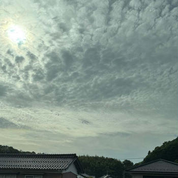 ハーブテント体験してみたよ！