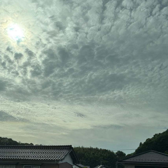 ハーブテント体験してみたよ！