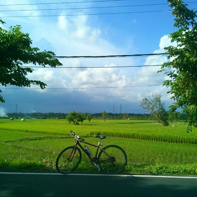 cycling! #Bali #trip