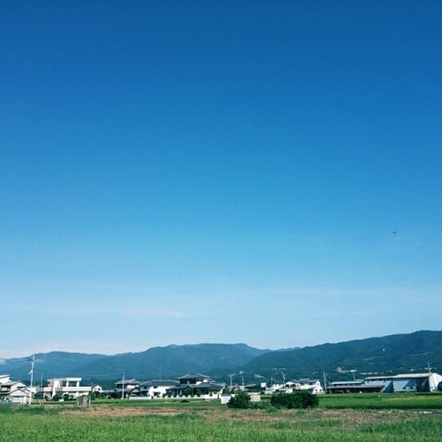お菓子作りの原点♪とパイのお菓子たち(#^.^#)♪