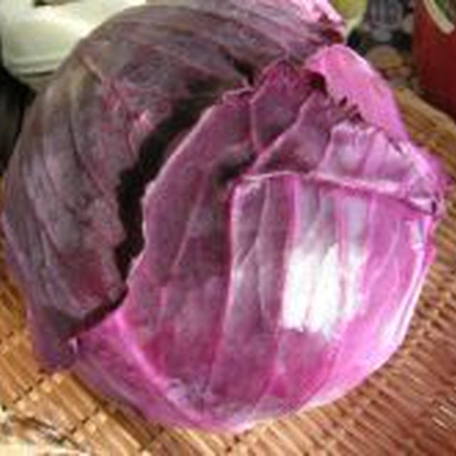 紫キャベツの煮物・ロートコール