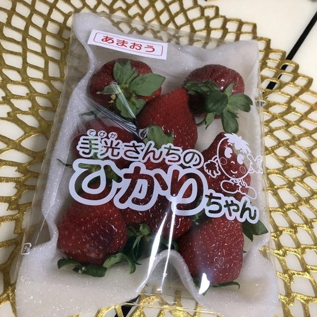 手光さんちのひかりちゃん