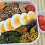 今日のJK弁当