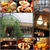 MADISON NEW YORK KITCHEN☆大人のバル 恵比寿にオープン！