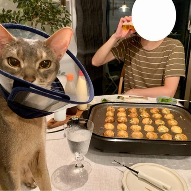【覚書】7月4日に食べたもの