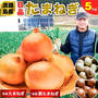 最初の４時間限定セール♪楽天お買い物マラソン