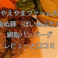 やえやまファーム「南の豚（ぱいぬぶた）網脂ハンバーグ」の口コミとレビュー