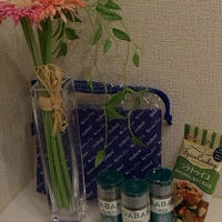 GABAN　スパイス【モニター】
