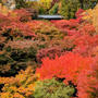 初！紅葉シーズンの京都へ♪