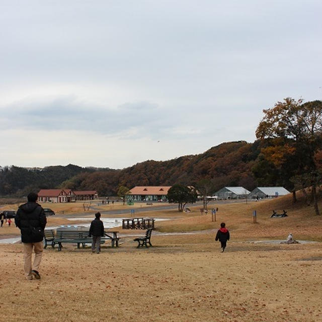 関東三大イルミネーションの１つに行ってきましたヽ(^o^)丿