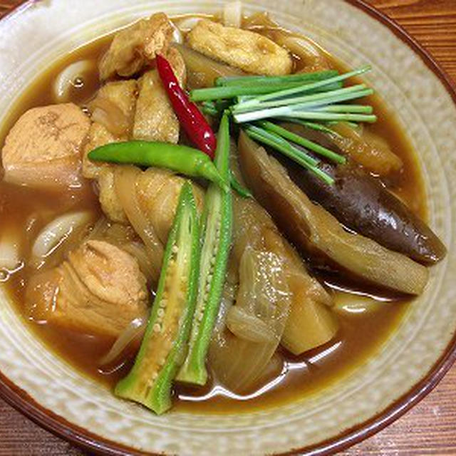 茄子カレーうどん。イヤホンで遊ぶあんこ