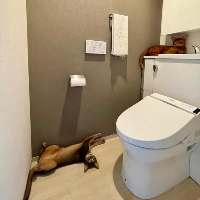 入るのをためらうトイレ