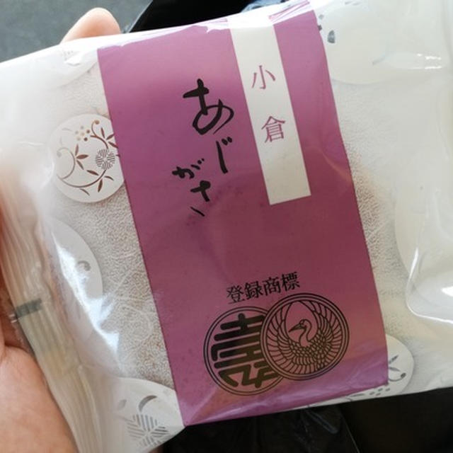 今日のあんこ#15  皮がふわっふわ。総本家駿河屋の三笠。【和歌山県】