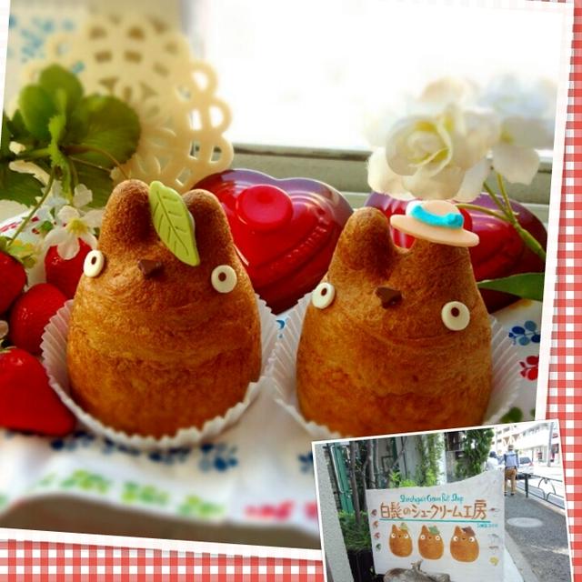 トトロの　ｼｭｰｸﾘｰﾑ♪　ｳｵｰｷﾝｸﾞ