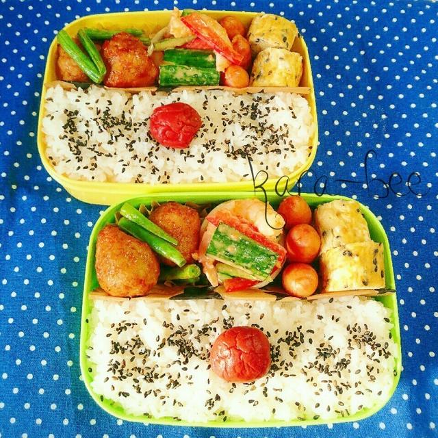 ラストラスト詐欺(笑)母とムスコのラブラブおソロ弁当