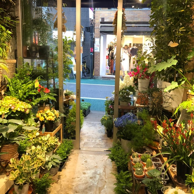 お花の衣替え