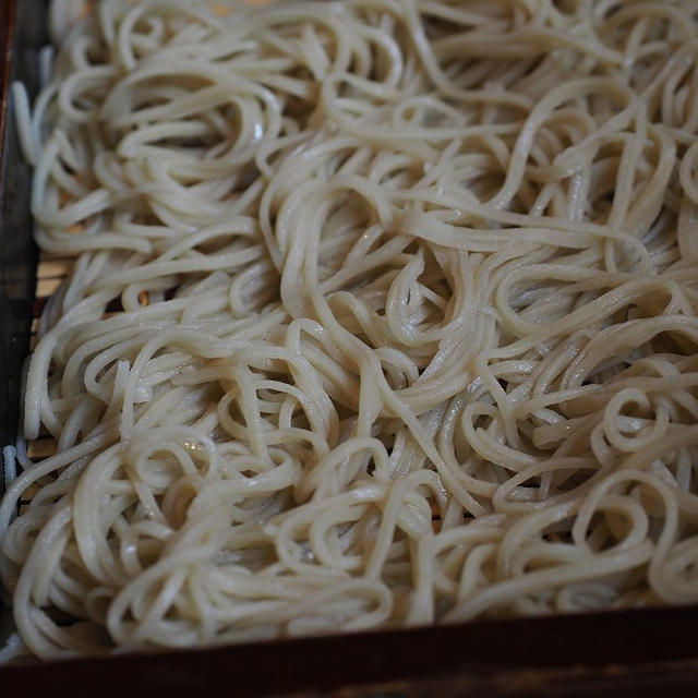 春の信州　白馬・小布施・志賀高原(2) 　蕎麦屋　丸富