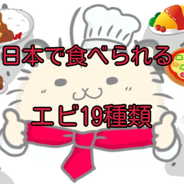 【ネットで買える】日本で食べられるエビ19種類を徹底解説！美味しい食べ方は？