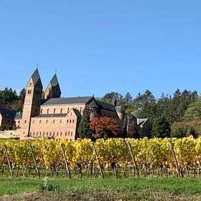 秋晴れのワイン畑とスローフードレストラン・ラインガウ