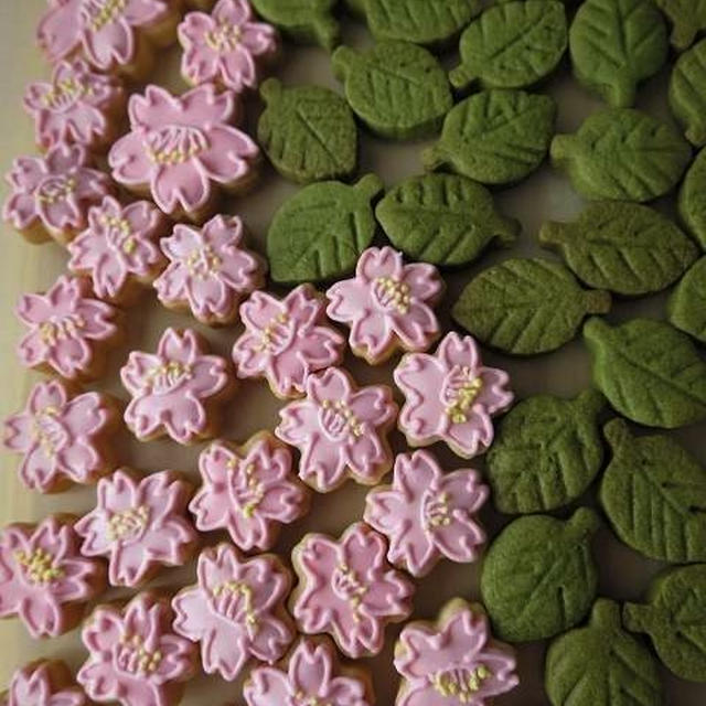 葉桜･･･抹茶のサブレ