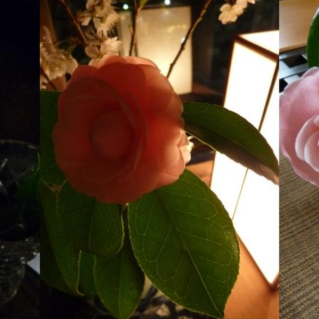 そら豆と新わかめの香り炒め